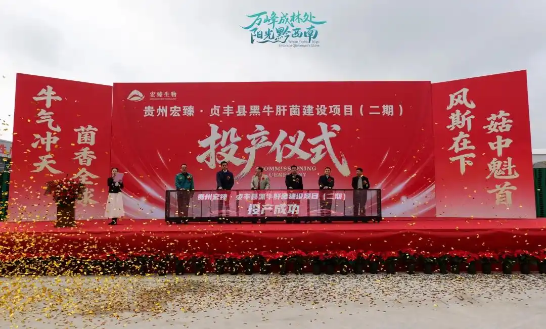 Qianxinan Zhenfeng establece la base de producción industrializada de boletos negros más grande de China 03.webp