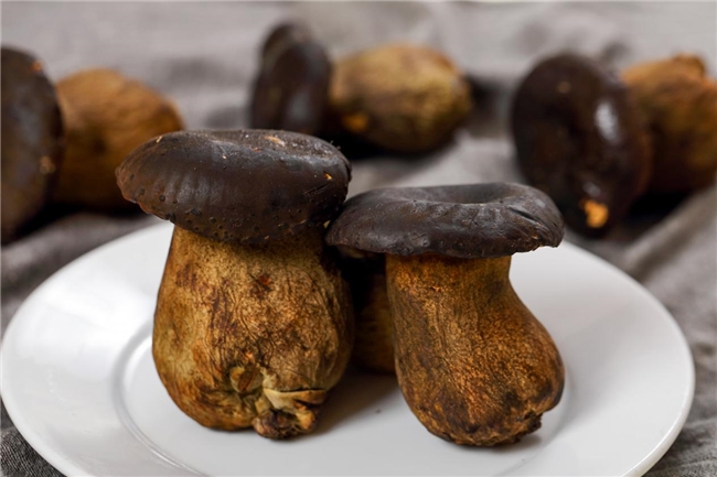 Nueva filosofía del boletus negro como “ingrediente de alta gama” 01.jpeg