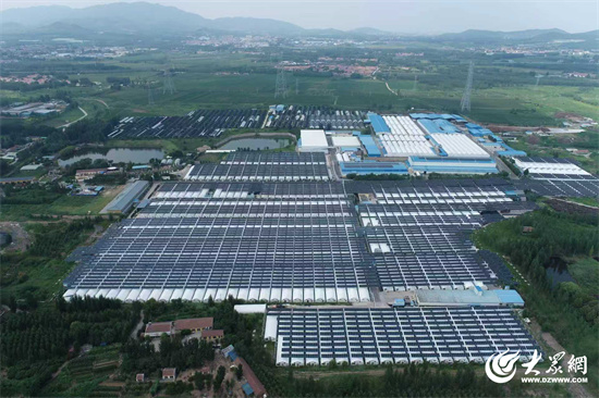 Seven Rivers Biotechnology: Remodelando la industria del hongo Shiitake con fábricas inteligentes, liderando la transformación digital de la agricultura 01.jpg